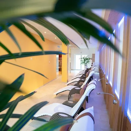 Adler - Paulas Alb エーインゲン