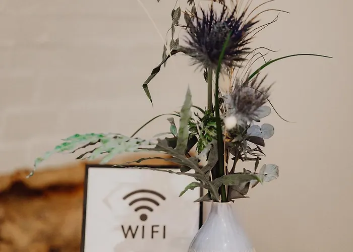 Adler - Paulas Alb Hotel 4*